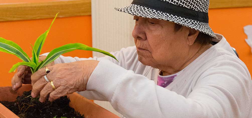 Member of the Center tending to a house plant